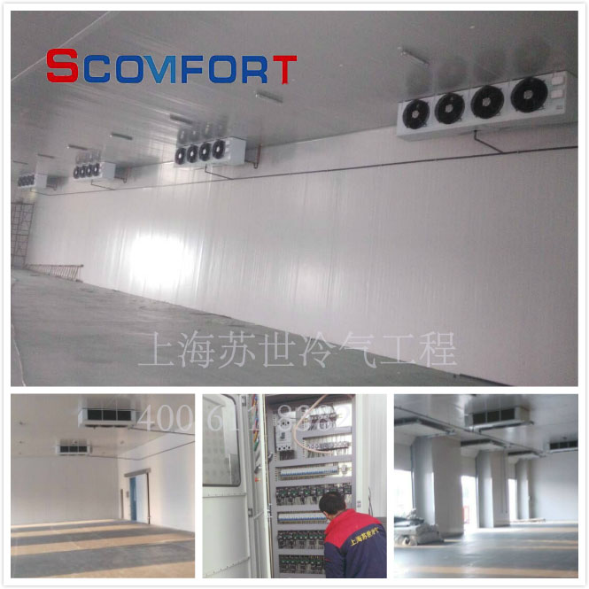 上海小型冷庫全套報價 專業后廚冷庫設計 021-66105069