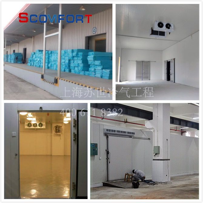 高品質冷庫成就安全冷鏈 上海蘇世成就您的非凡冷鏈 021-66105068 全面保證解決冷鏈問題 高品質冷庫成就安全冷鏈 上海蘇世成就您的非凡冷鏈 021-66105068 全面保證解決冷鏈問題