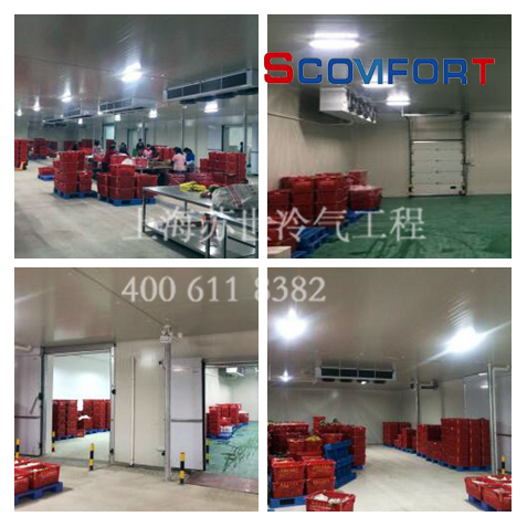 專業冷庫廠家 一站式冷鏈解決 021-66105068