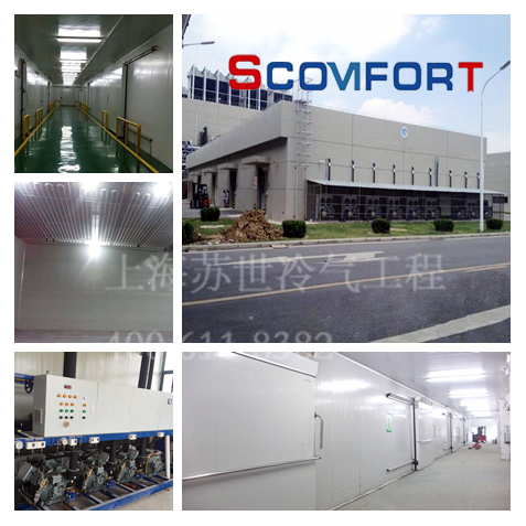 自動立體冷庫 上海蘇世冷氣工程專業冷鏈 021-66105068 自動立體冷庫 上海蘇世冷氣工程專業冷鏈 021-66105068